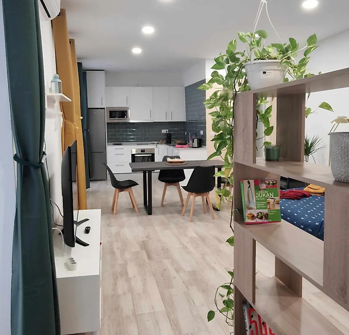Loft Vida En El Centro Jerez Apartment Jerez de la Frontera Spain